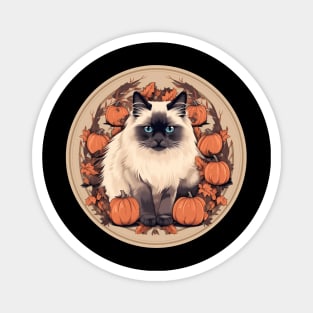 Birman Cat Halloween, Cat Lover Magnet